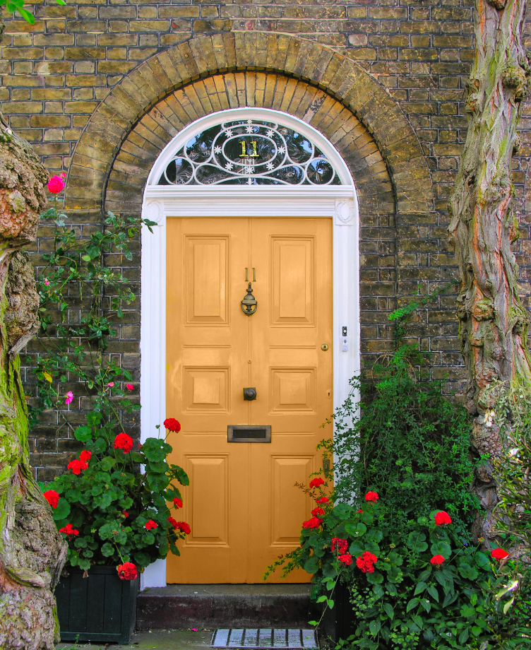 elegant front door color