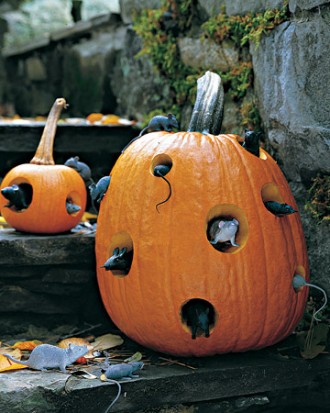 Trendy Pumpkins