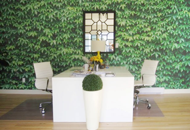 Office Design Studio Green Ivy Leaf Mural