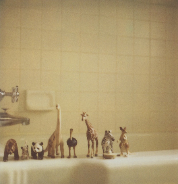 Toys in the Tub
