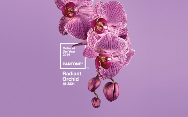 Pantone's colour of the year