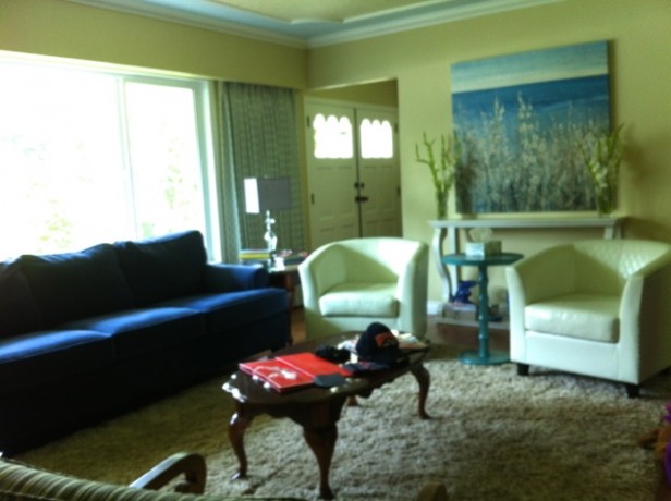 Anita's Living Room Before