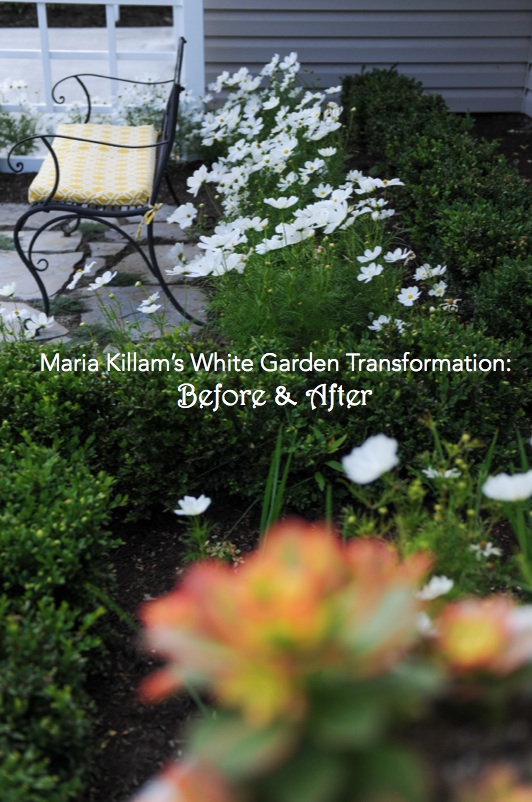 Maria Killam's White Garden Transformation- Before & After