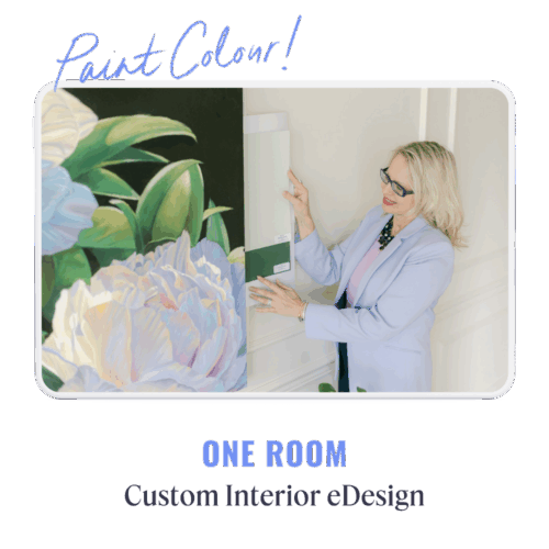 1 Room Paint Colour Consultation