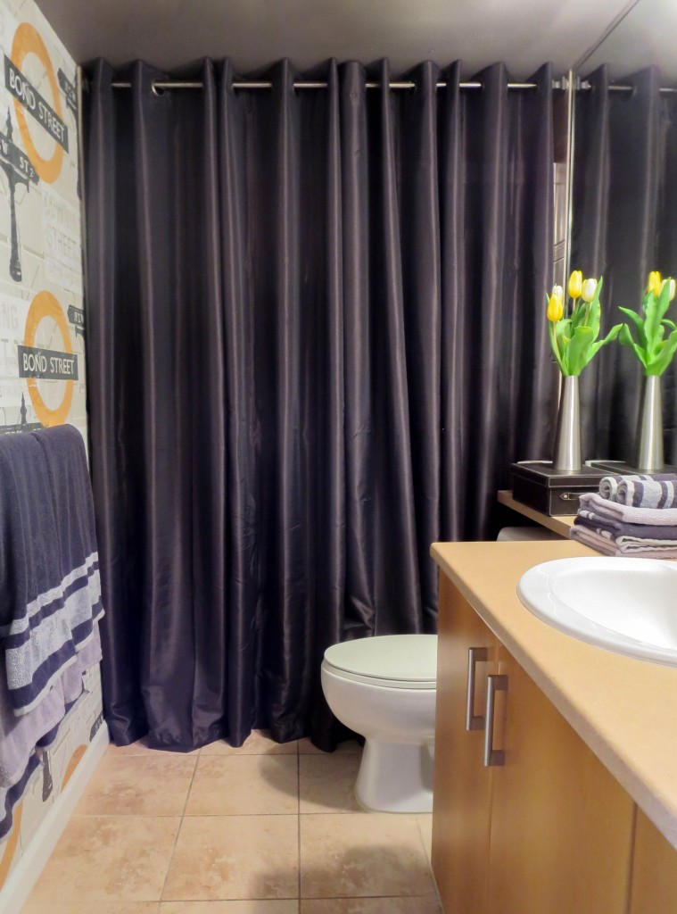 The Best Way To Cover Dated Shower Doors, Shower Curtain Or Glass Enclosure