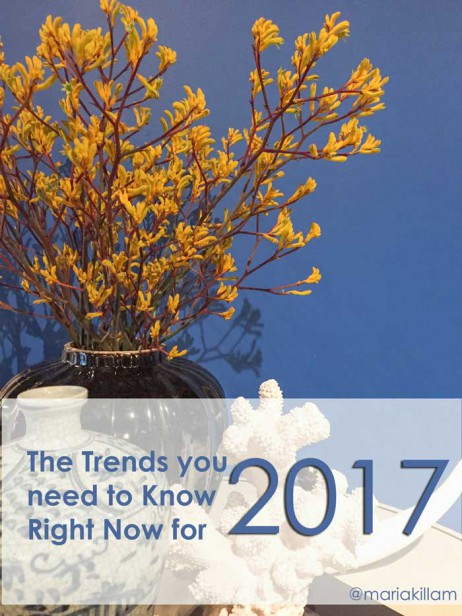 The Trends you Need to Know Right Now for 2017 | Maria Killam