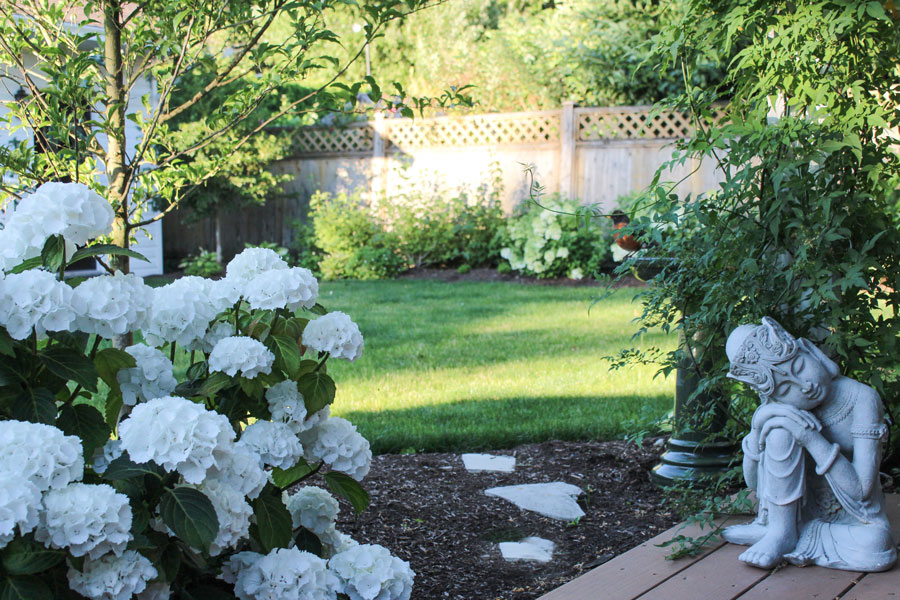 Lessons I Learned When Installing My Garden 3 Years Ago | Maria Killam