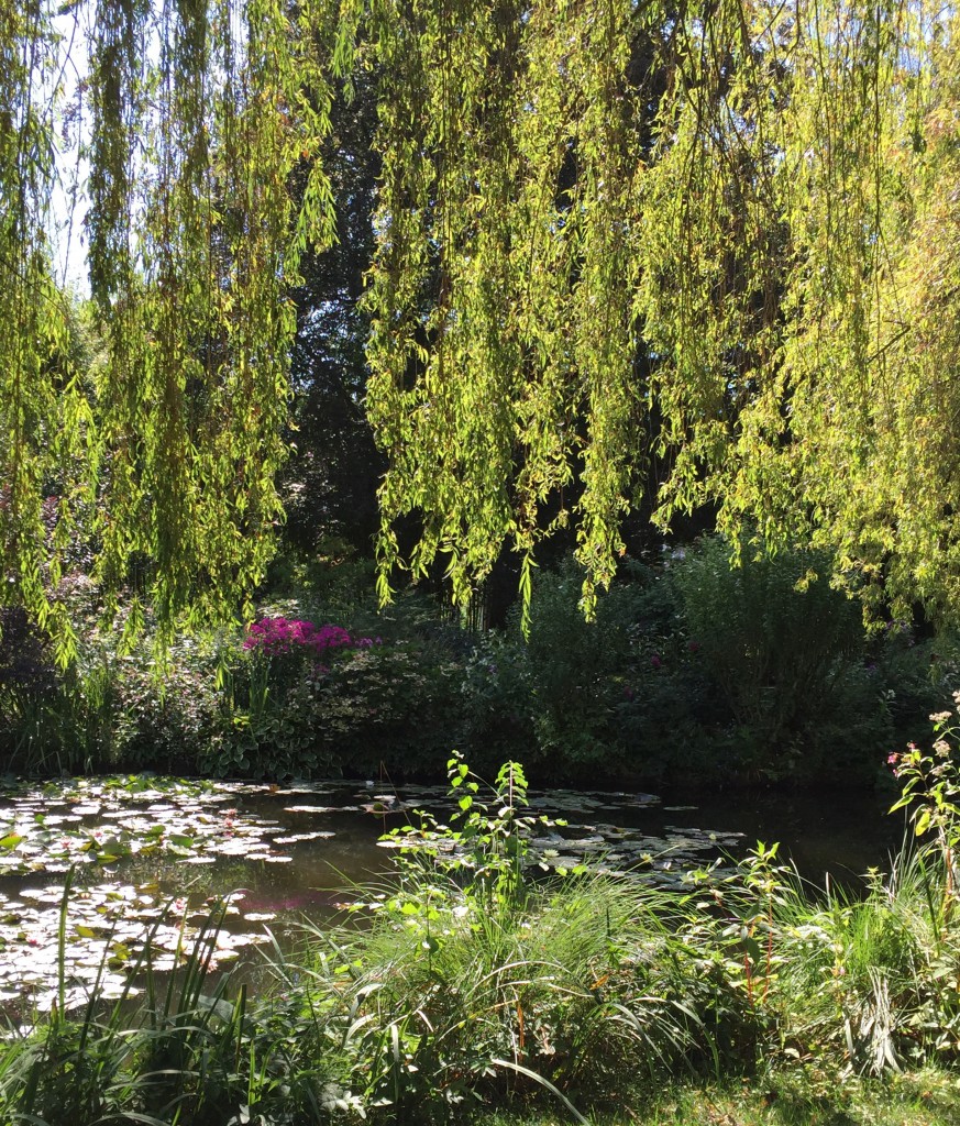 Monet's Garden | Maria Killam