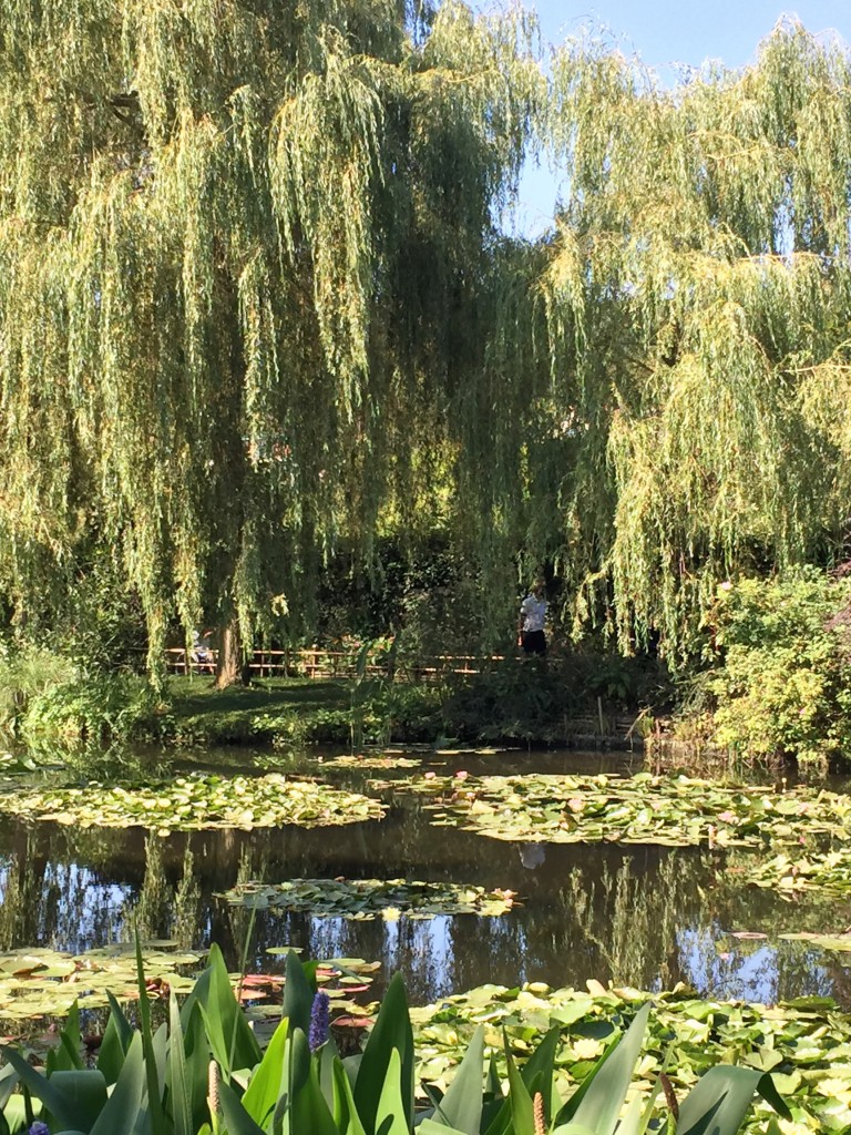 Monet's Garden | Maria Killam