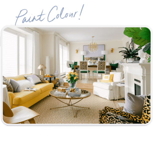Open Layout Paint Colour Consultation