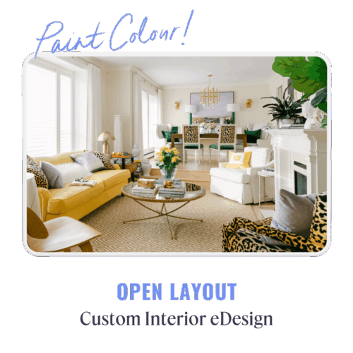 Open Layout Paint Colour Consultation