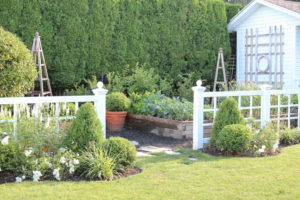 My New Spring Boxwood Beds; Before & After (MaryAnne White)