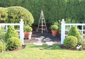 Our Hedges Got Trimmed! Before & After