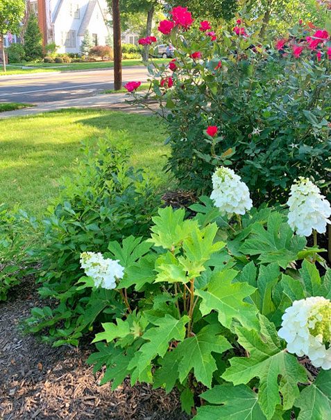 Landscaping Flowers