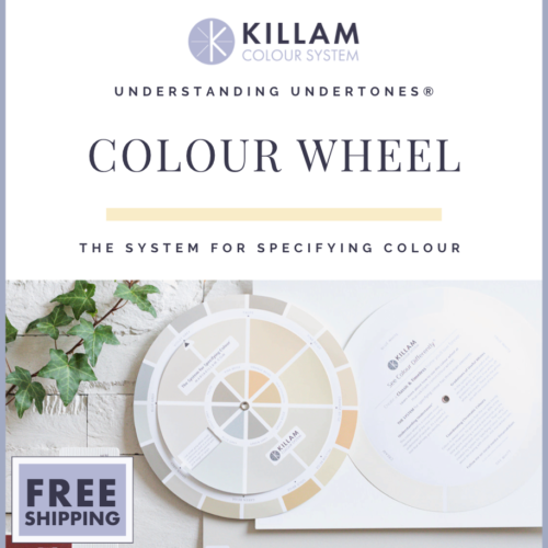 Real Paint Neutral Colour wheel