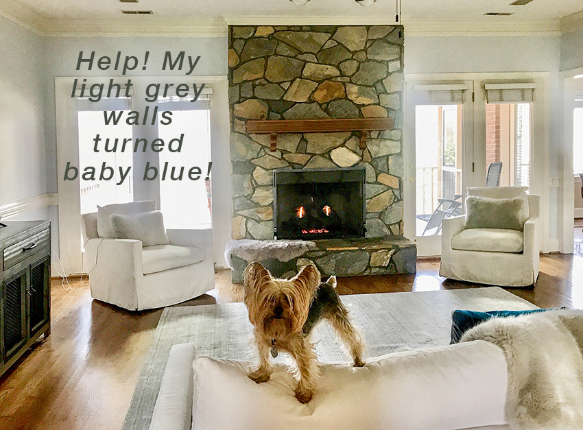 light blue gray walls living room