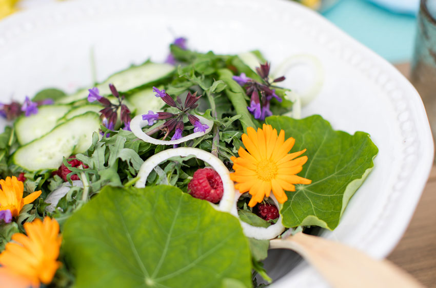 summer salad with flowers