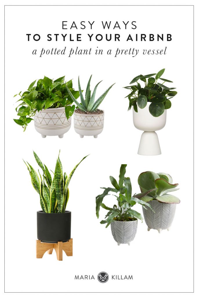 AirBNB decorating essential plants