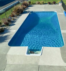 One Old Pool; Two Ways to Make it Beautiful Again - Advice for Homeowners