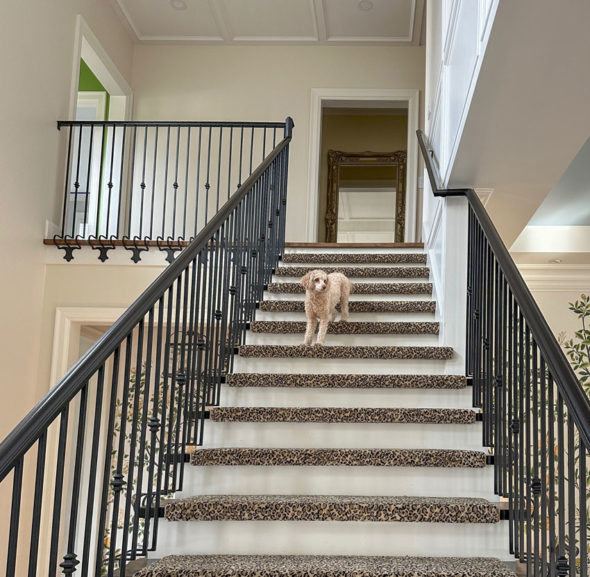 My New Paneled Moulding: The Ultimate Decorative Upgrade - Before and After