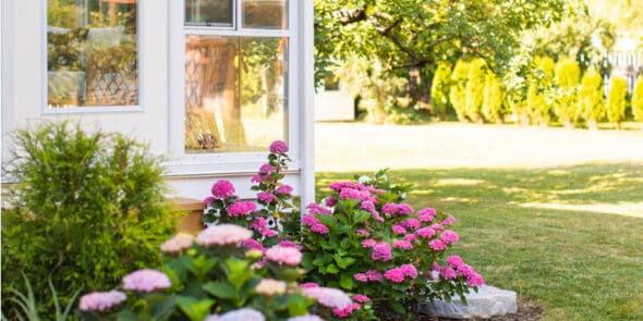 fifth rule of design