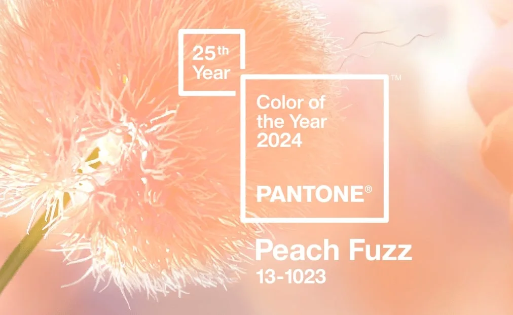 pantone COTY 2024 peach fuzz
