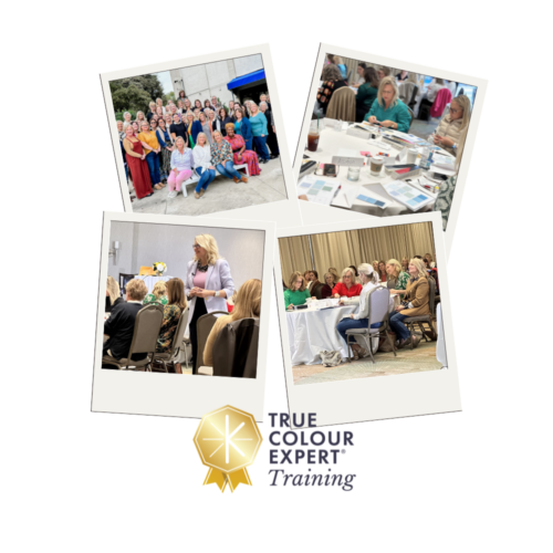 True Colour Expert® Training in Chicago