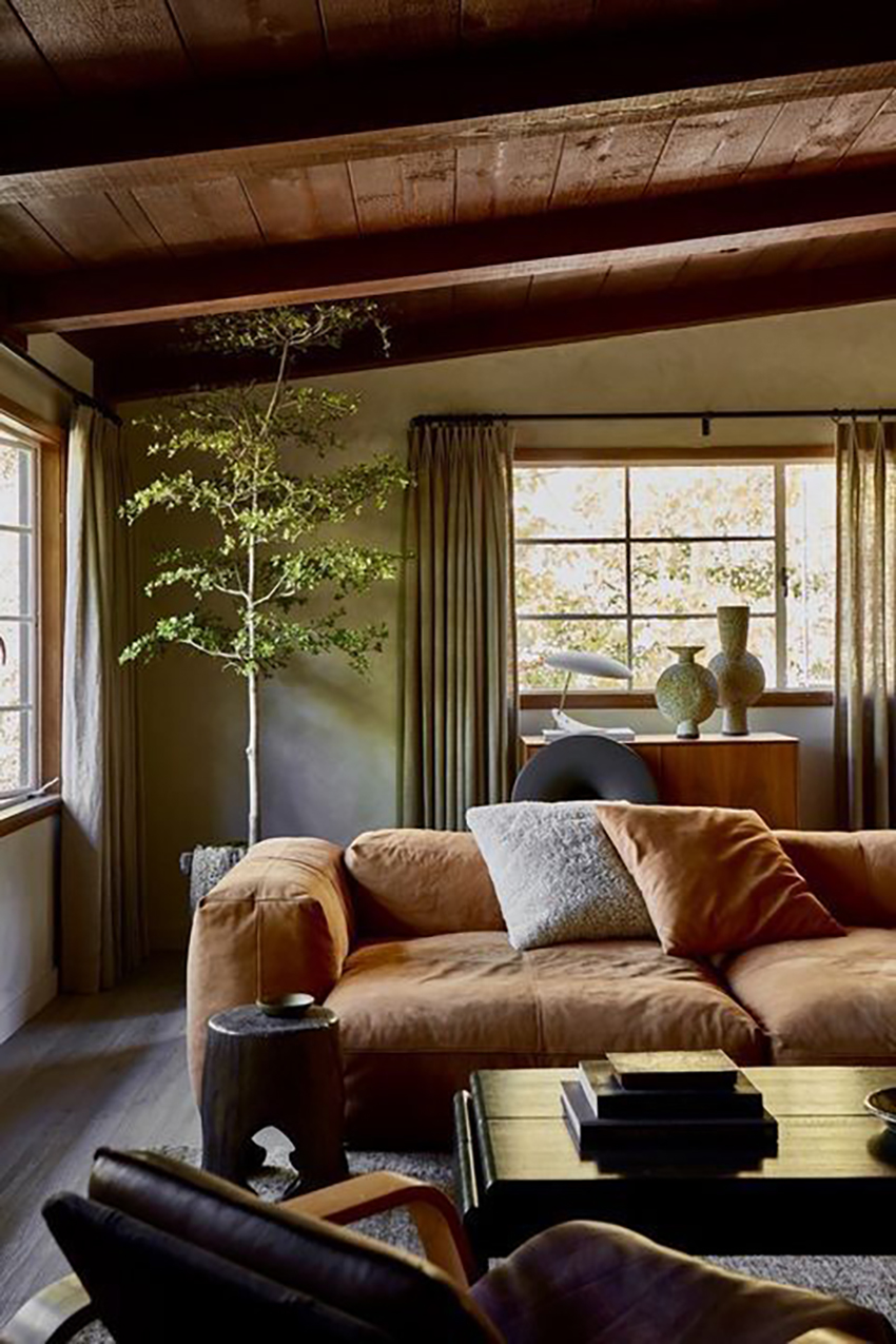 earthy living room