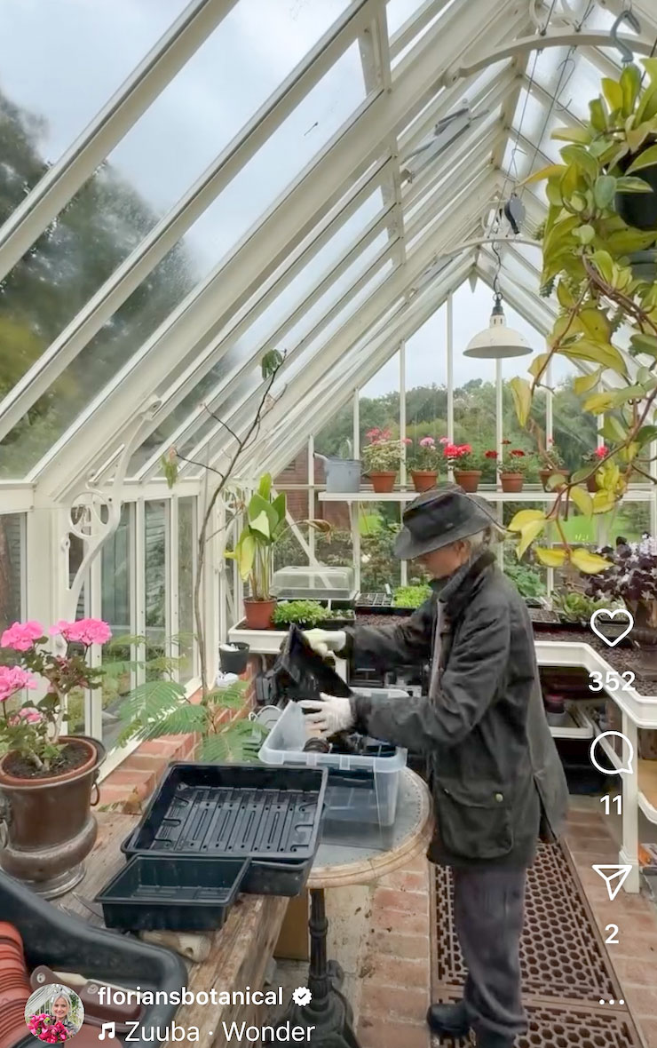 greenhouse inside
