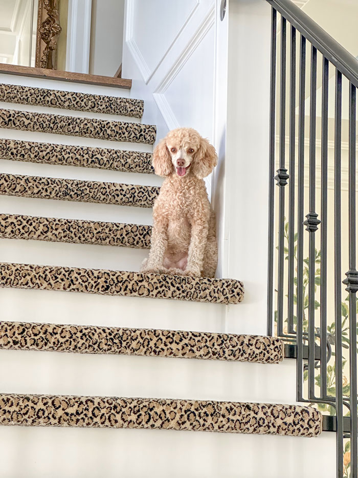 leopard stair runner