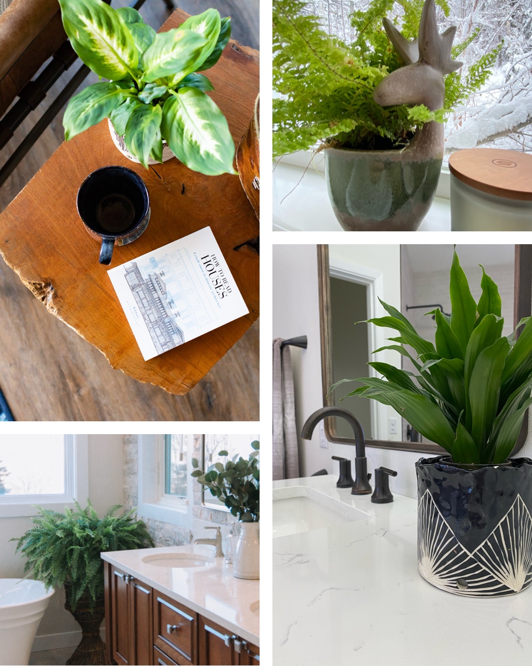 Decorating with plants