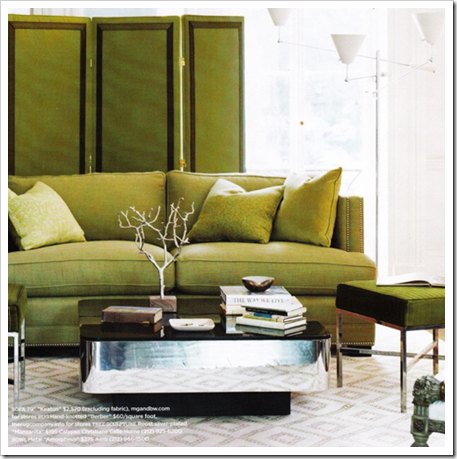 Green Colour Sofa