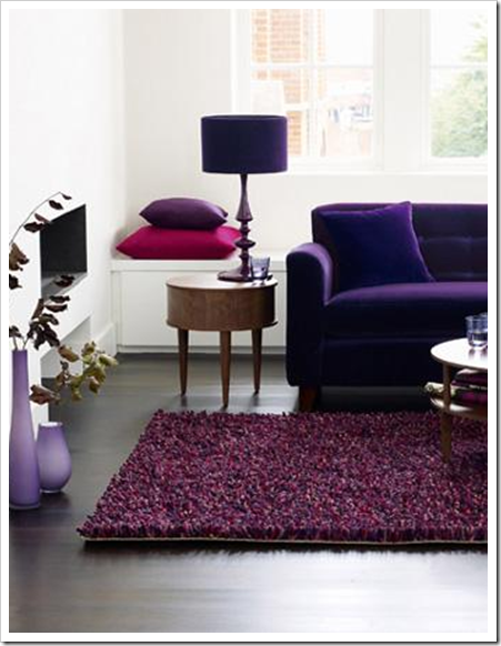 Purple Colour Sofa